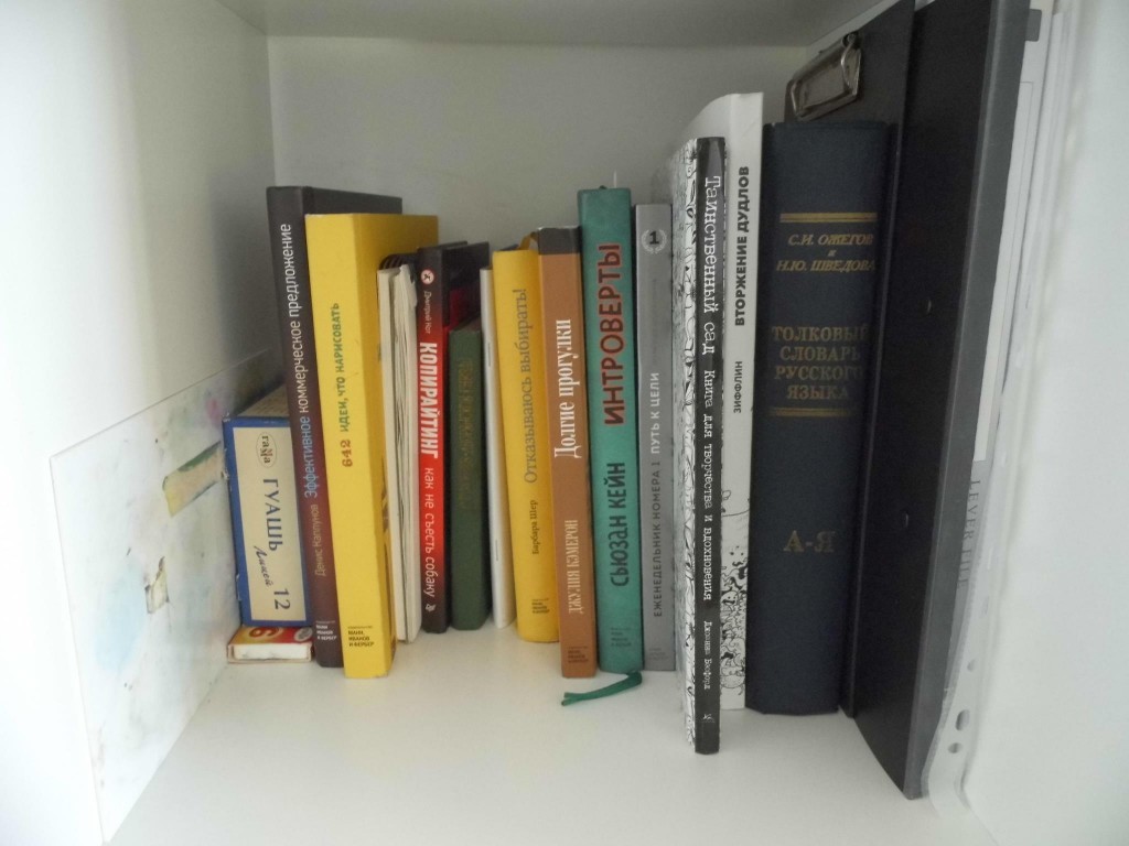 Домашняя библиотека Анастасии.