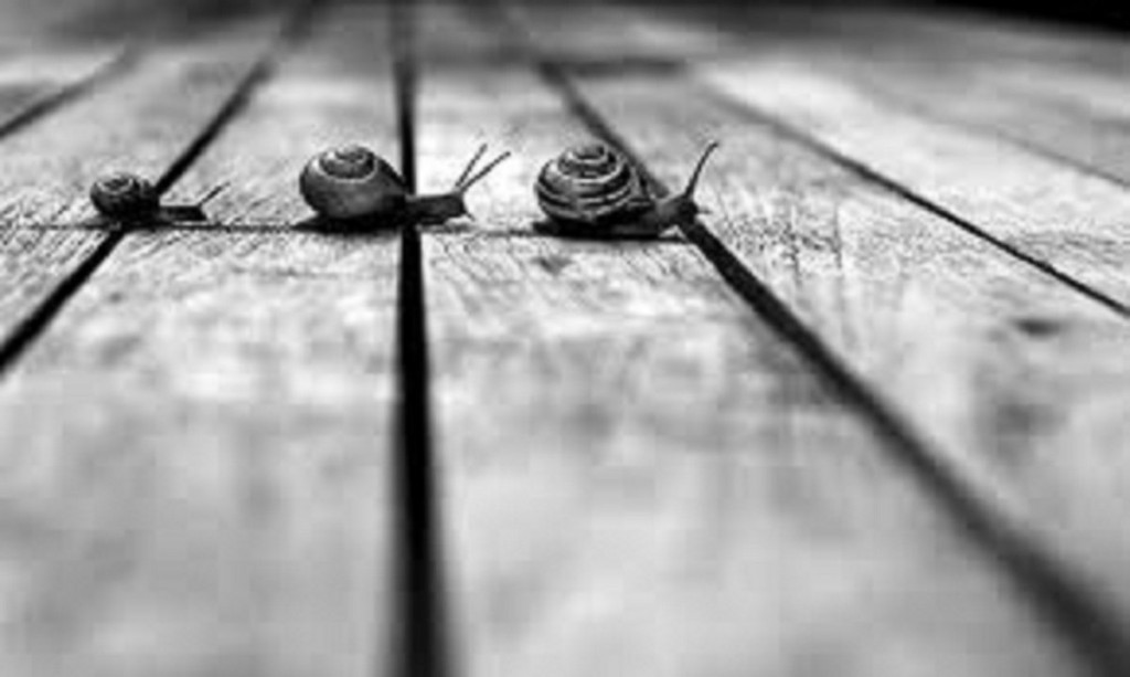 движение к цели