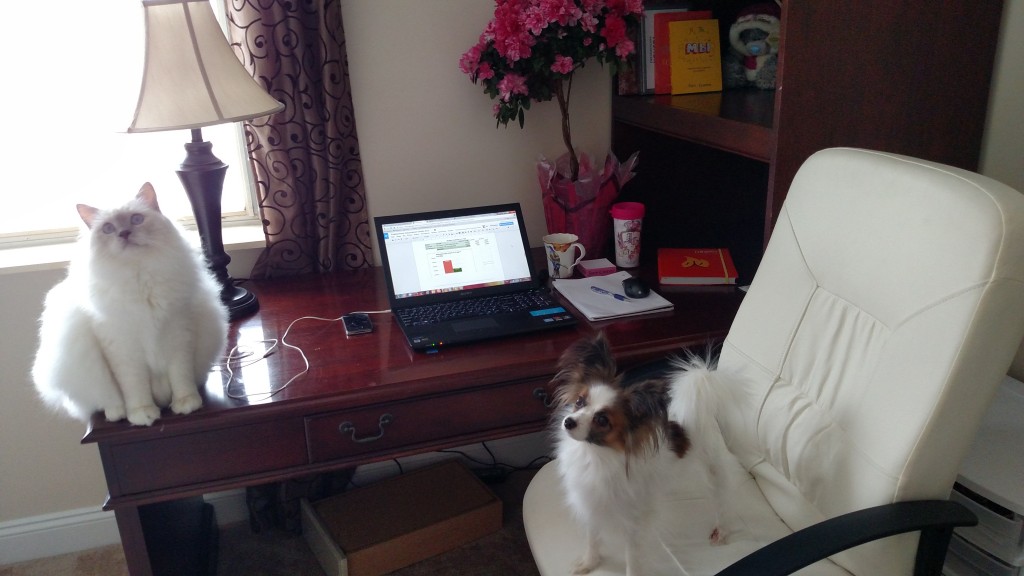 Один день из жизни МИФа