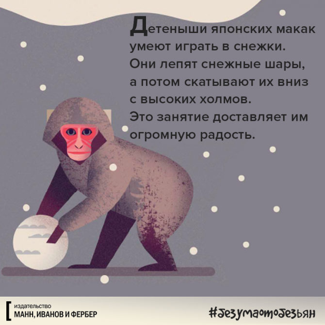 Без ума от обезьян – детская книга