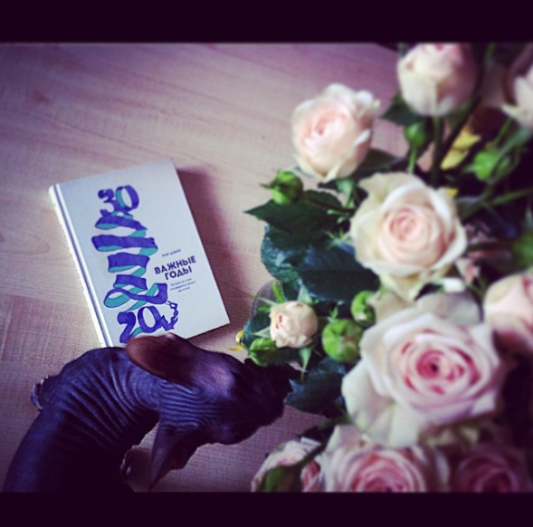 Что сейчас читают