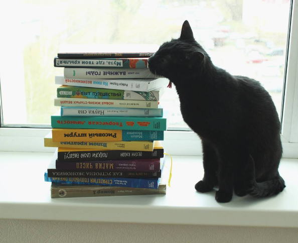 Что сейчас читают