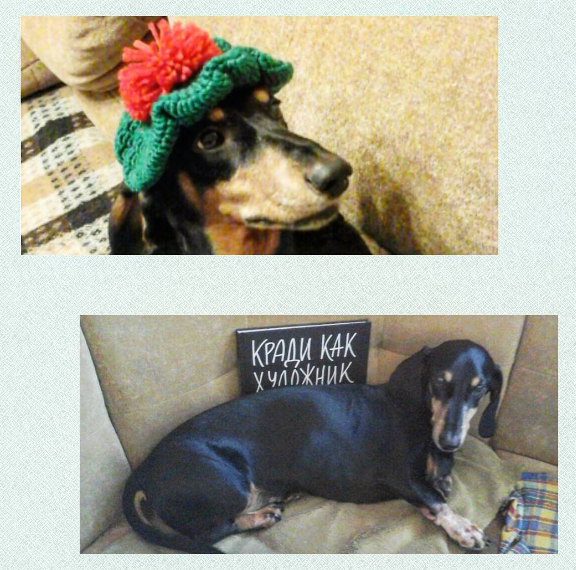 Что сейчас читают