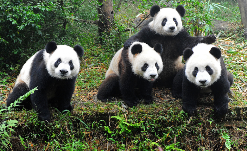 Снимок экрана 2016-06-28 в 17.40.06