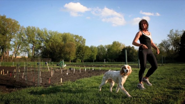 Заведите собаку. Домашние животные — замечательные товарищи, которые без особых усилий увеличивают нашу физическую активность более чем на пять часов в неделю.