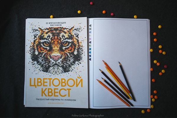 Отправляемся в цветовой квест: чем полезны раскраски по номерам?